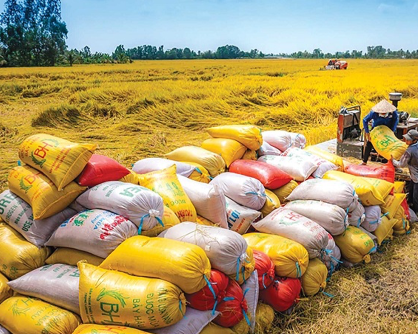 Establishing Vietnam's rice brand on the global market